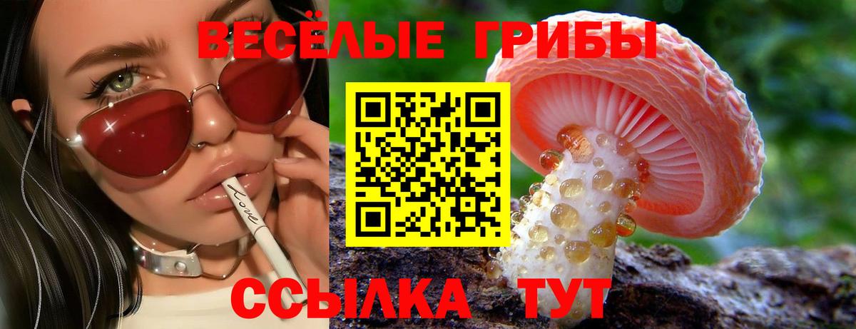 Галлюциногенные грибы прущие грибы Бийск